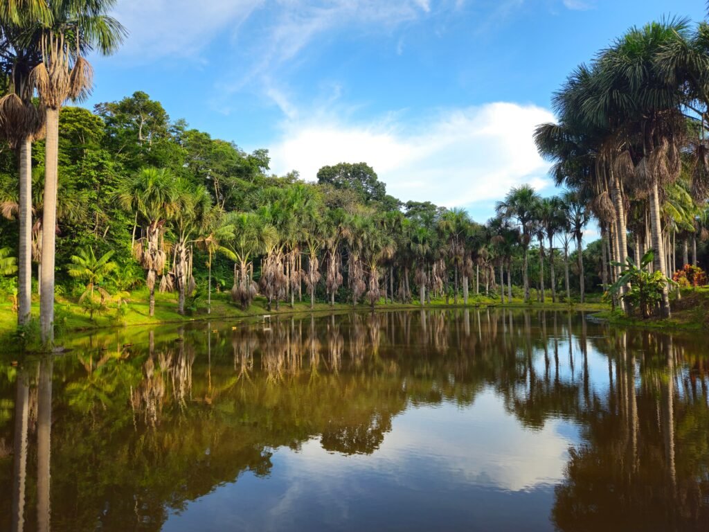 selva peru