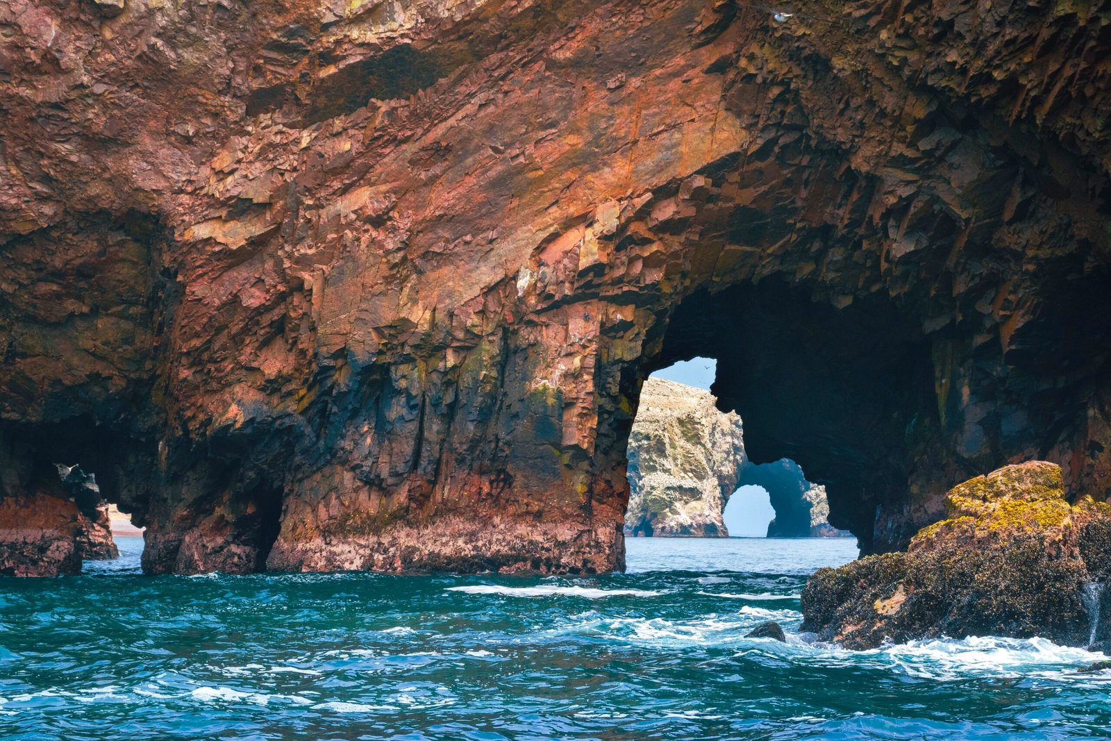 paracas